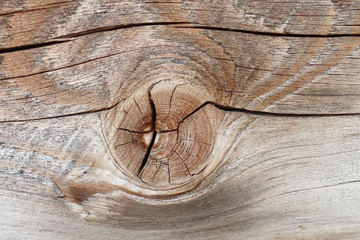 La madera y su duración de cargas