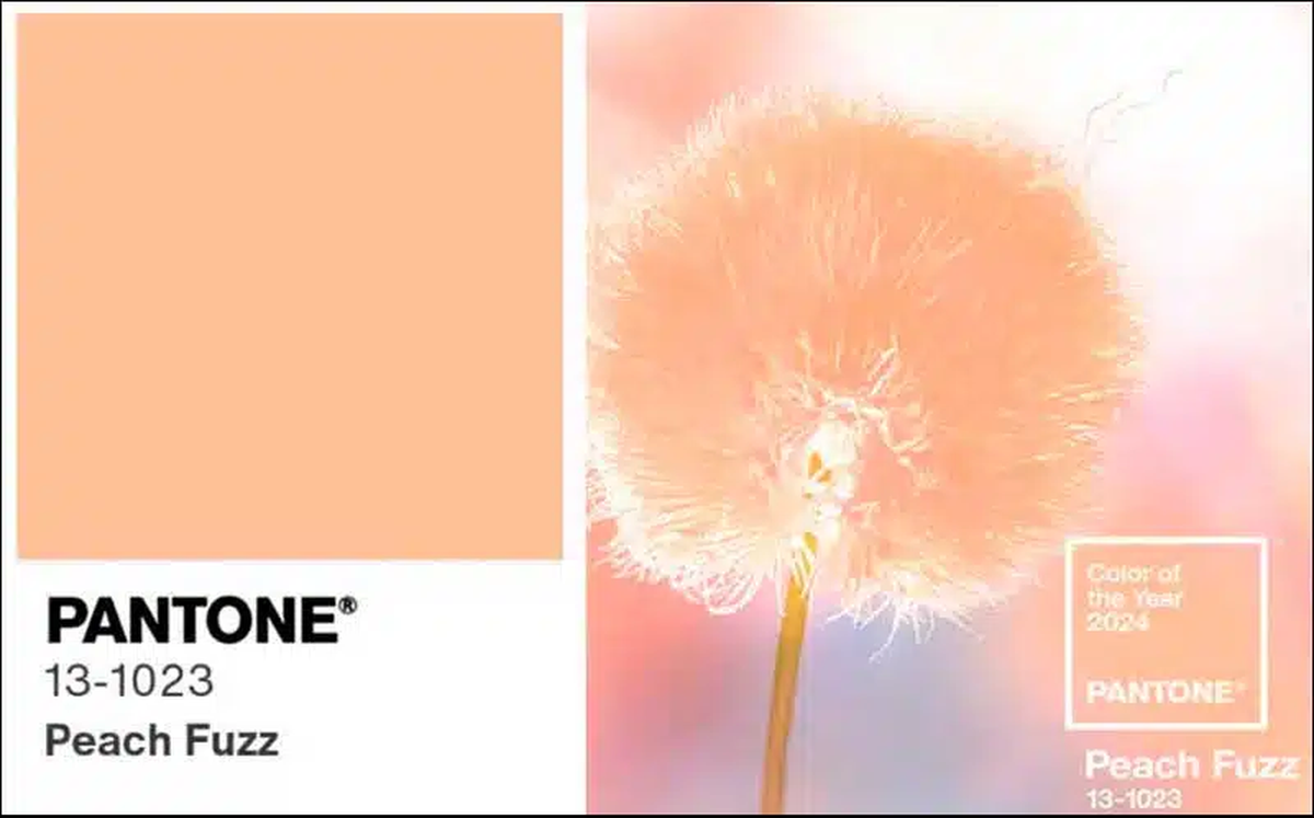 Decoración: Peach Fuzz, color Pantone