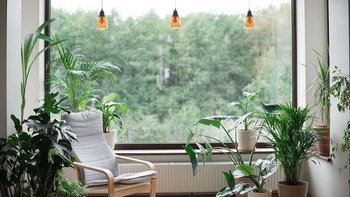 Decoración eco-friendly: Ideas para un diseño interior sostenible
