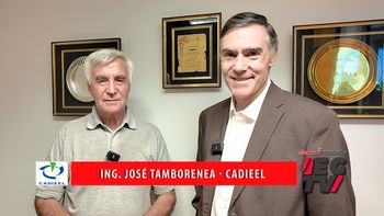 Electro Gremio TV entrevista José Tamborenea, presidente de CADIEEL