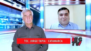 Electro Gremio TV entrevista al técnico Jorge Tapia