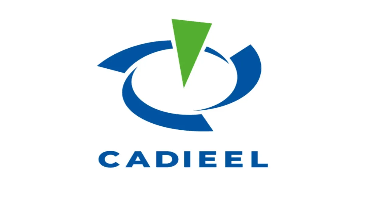 RIGI: CADIEEL pide igualdad de condiciones para la industria nacional