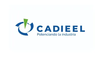 CADIEEL renovó sus autoridades: Guillermo Freund fue elegido para presidir