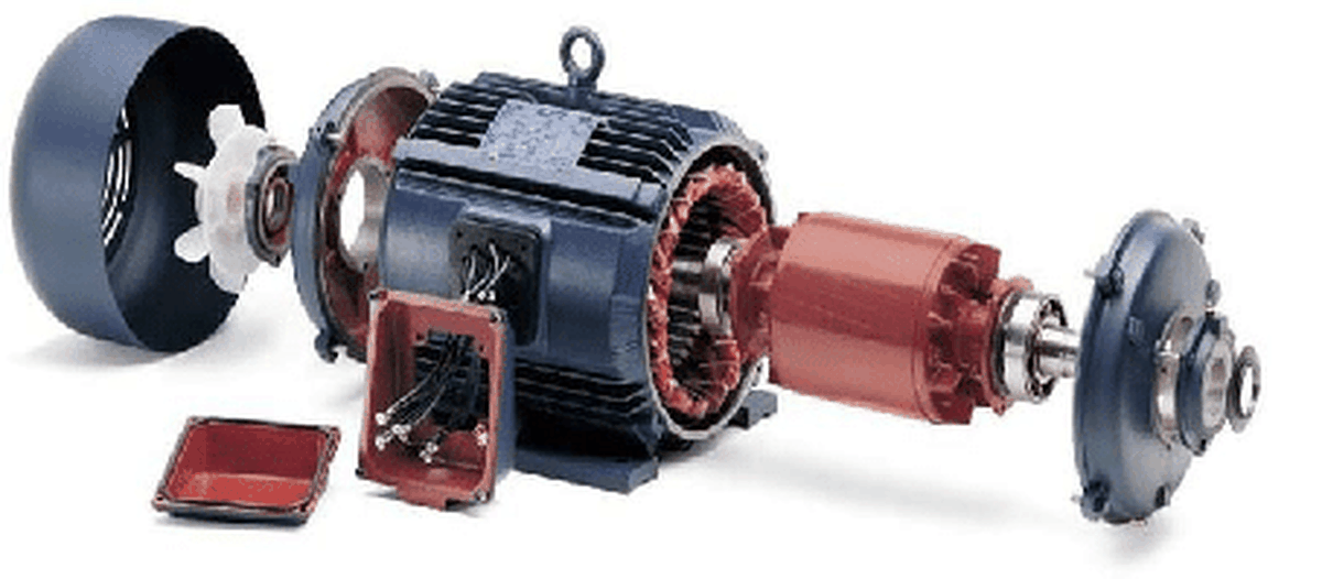 Motores Eléctricos: el rotor de la jaula de ardilla